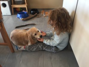 Zabawa dziecka z psem